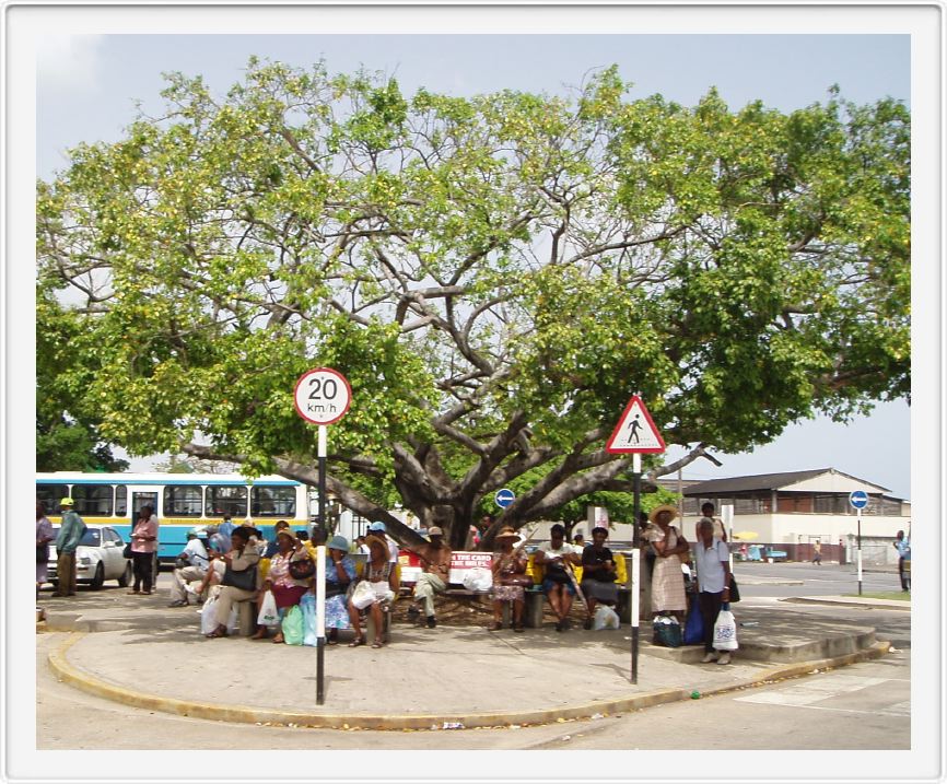 Bus stand
