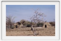 Fulani huts