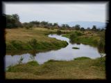 River, Manyara