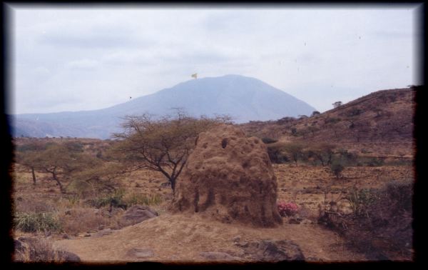 Termite mound framed by the Mountain of God