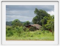 Enroute Arusha