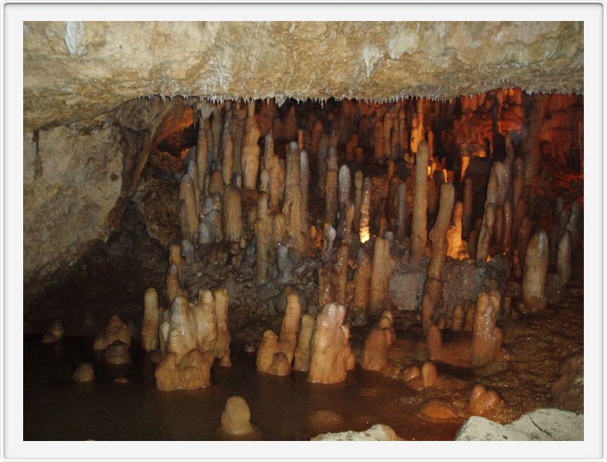 Harrison's cave