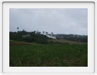 Driving across the island to Bathsheba on the West coast