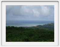 Farley Hill view