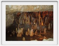 Harrison's cave