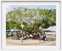 Bus stand