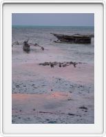 Jambiani boats
