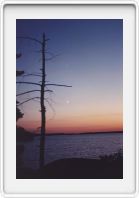 Enchanted ile