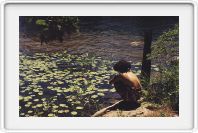 Enchanted ile