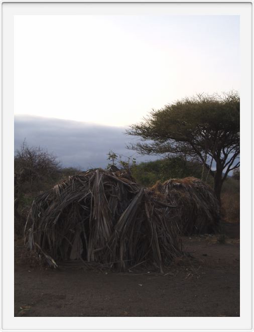 Hadzabe huts