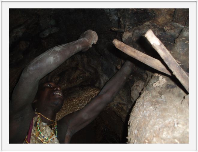 Inside the baobab