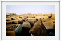 Rooftops Sangha