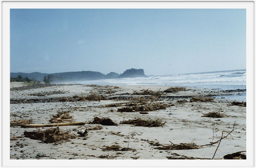 A beach resort near Bombay