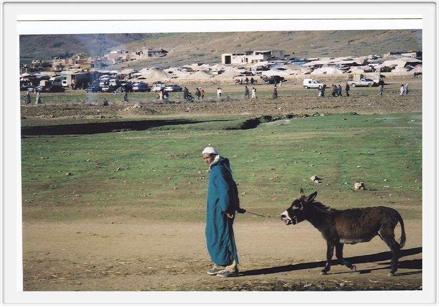 The Atlas mountains