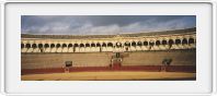 Bull fighting venue