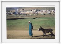 The Atlas mountains