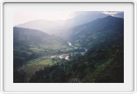 Tea estates,
