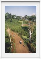 Ilam