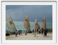 The dhow race