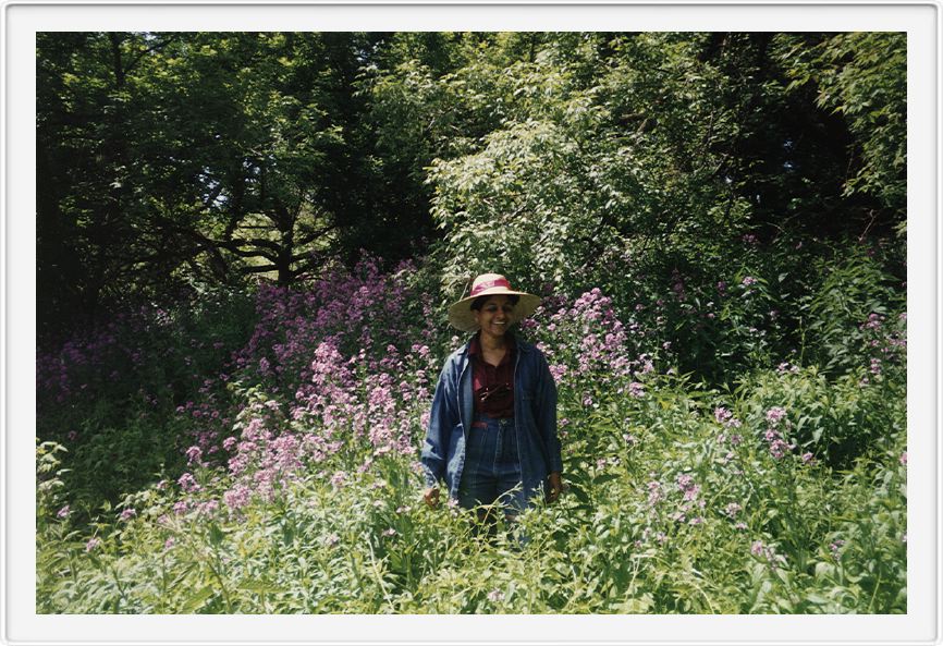 Nature Park