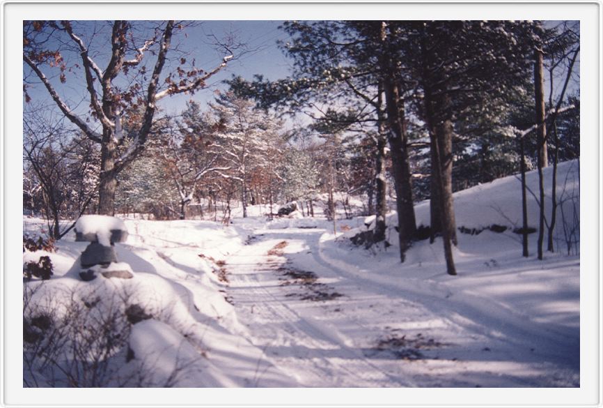 Winter in the countryside