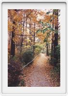 London, Ontario
