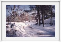 Winter in the countryside