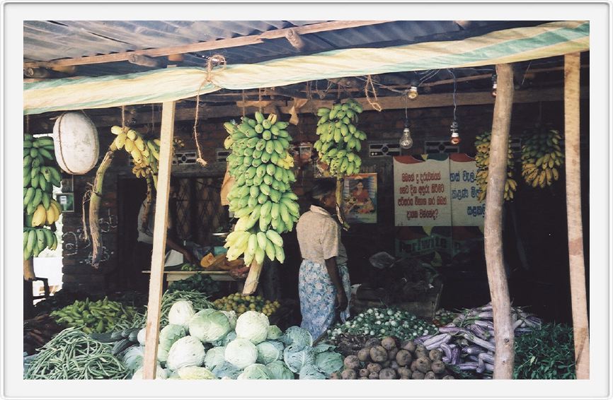 Vegetable stall