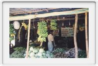 Vegetable stall