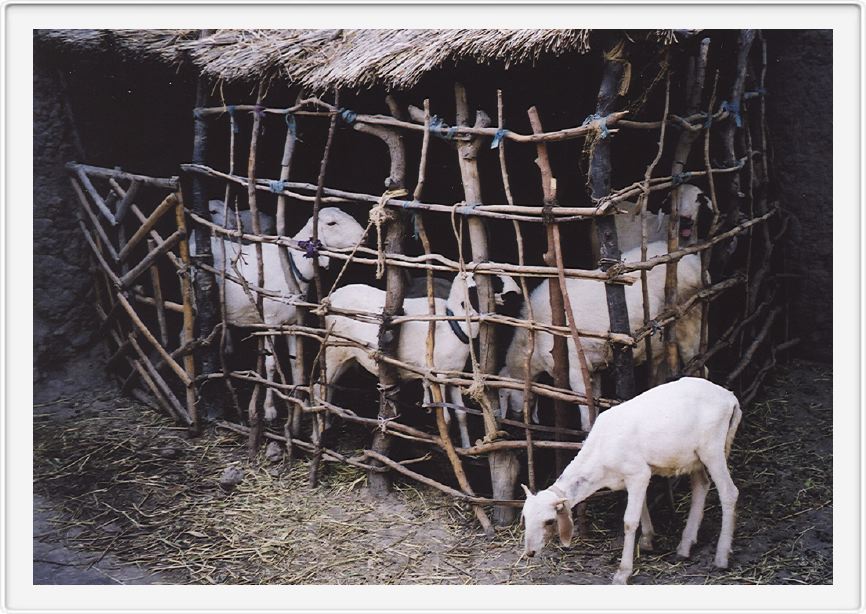 Djenne, Mali