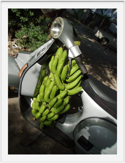Bananas rule!