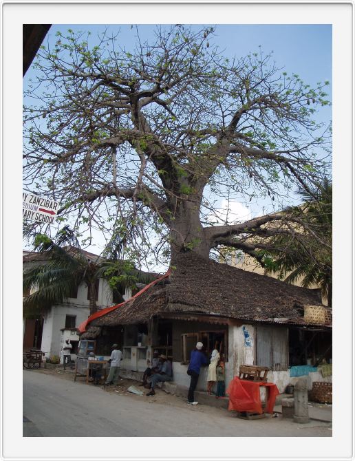 Baobab restaurant