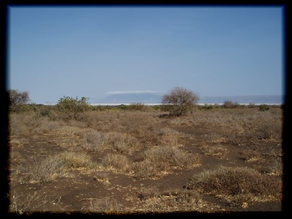 Hadzabe country