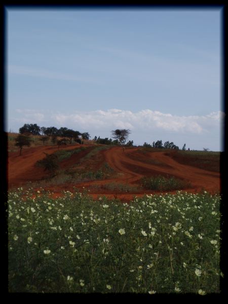 Red earth