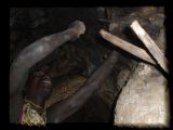 Inside the baobab