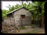 Typical village house