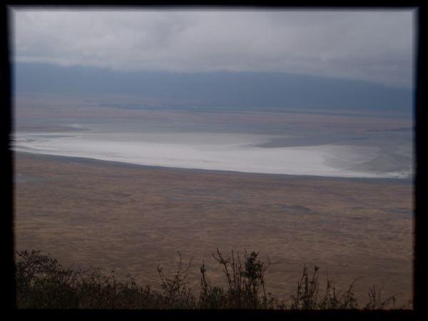 Alkaline lake