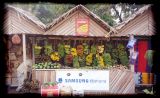 Roadside banana seller