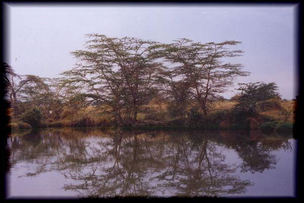 Water in the savannah