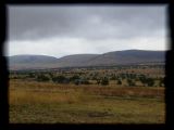 Farewell Serengeti